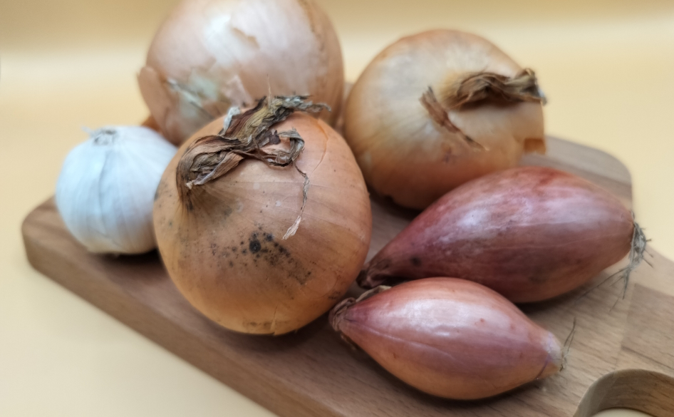 Olika typer av lök